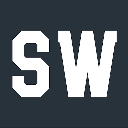 Logo Minifig SW
